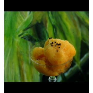 Sorbet orange cardamome
