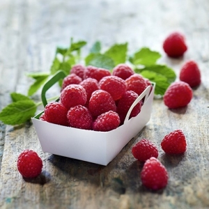 Framboise bio