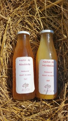 Nectar de rhubarbe