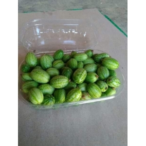 Barquette de concombre