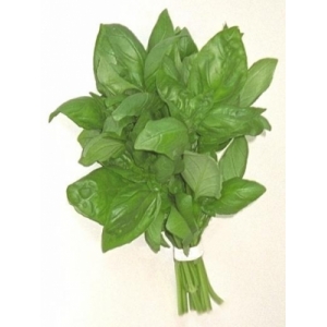 Basilic bouquet