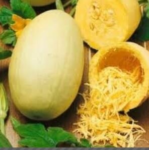 Courge spaghetti plus de 2kg