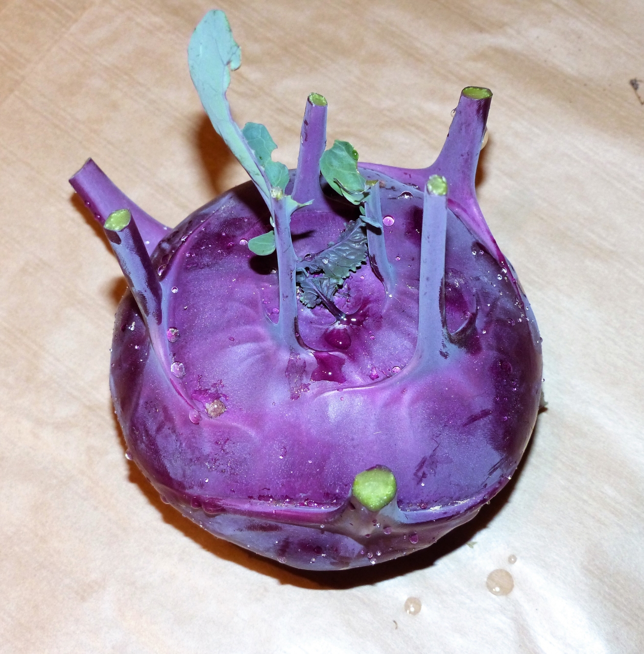 Chou rave rouge - 1 u - Potager De La Brière - Locavor.fr