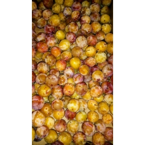 Mirabelles