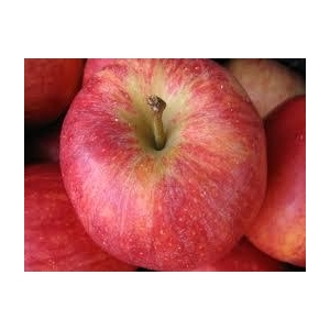 Pomme jonagored 14kg