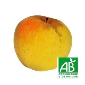 Pomme - opale bio 14kg