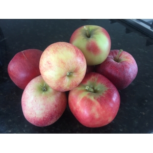 Lot pommes bicolores