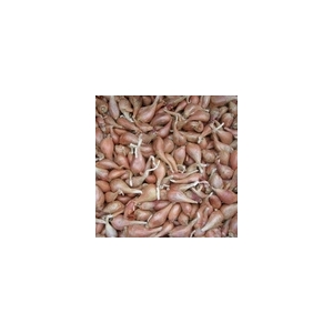 Echalotes grise (veritable) 250gr