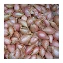 Échalotes à Repiquer – Lot De 500 G – Variété Demi-longue – Bonne Conservation