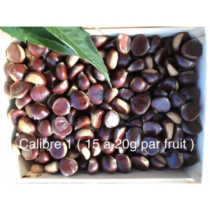 Chataignes “bouche de betizac” calibre 1