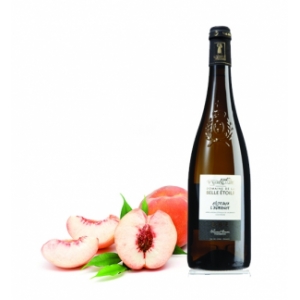 Côteaux de l'aubance