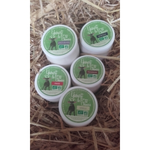 Yaourt fruits des bois