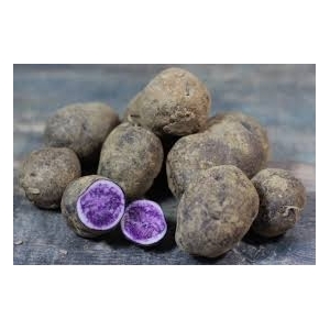 Pommes de terre nouvelles bleue d'artois