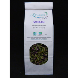 Origan