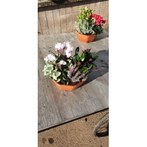 Composition toussaint