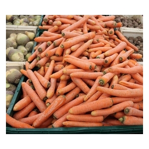 Carotte vrac