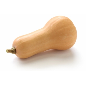 Butternut