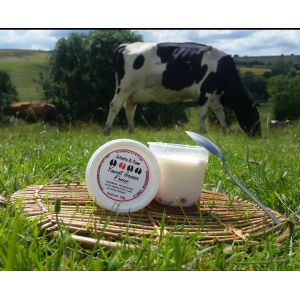 Yaourt lit de fruits fraise