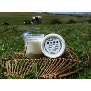 Yaourt lit de fruits pomme/kiwi