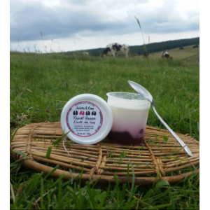 Yaourt lit de fruits fruits des bois