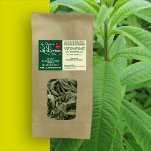 Verveine séchée
