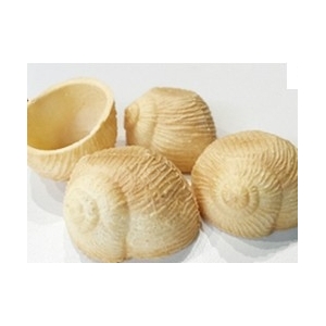 Sachet croquilles vides x24