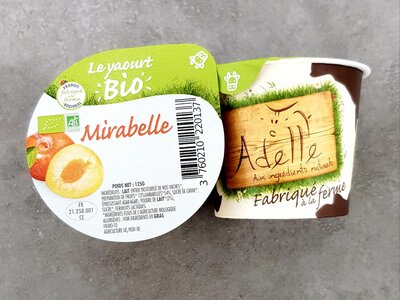Yaourt mirabelle