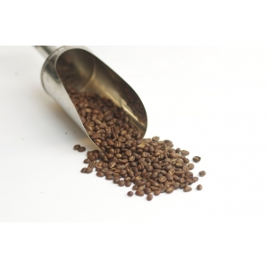 Café ethiopie moka yrgacheffe en grain