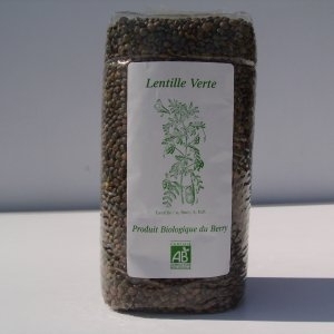 Lentilles vertes bio