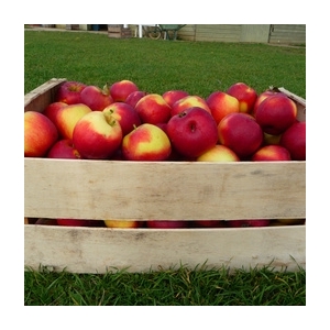 Caisse de pommes