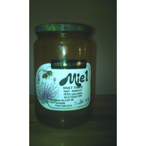 Miel de lavande 1kg