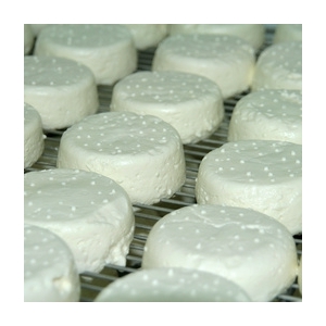 Lot 2 fromage frais de chèvre