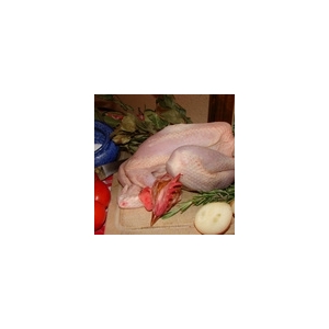 Poulet à rôtir de notre ferme enti