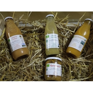 Pack de 2 soupes bio et 1 ratatouille bio