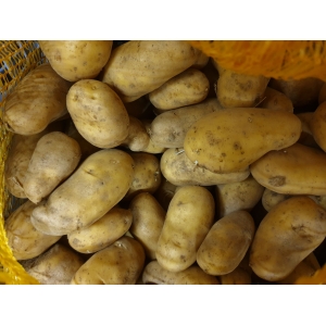 Pomme de terre charlotte