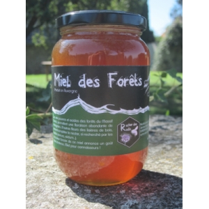 Miel des forêts
