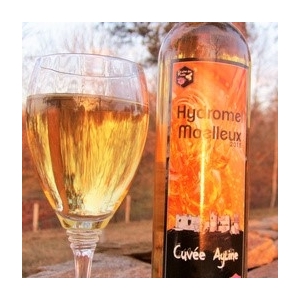 Hydromel moelleux 2015 - 16%