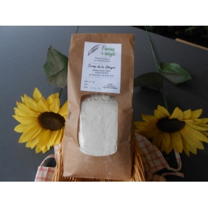 Farine de seigle  bio