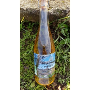 Pétillant de pommes