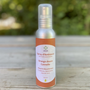 Spray d'ambiance orange cannelle