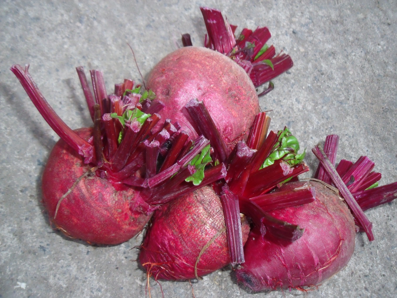 Betterave rouge - 1 kg - Catherine Rousseau Fruits Et Légumes - Locavor.fr