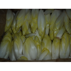 Endives
