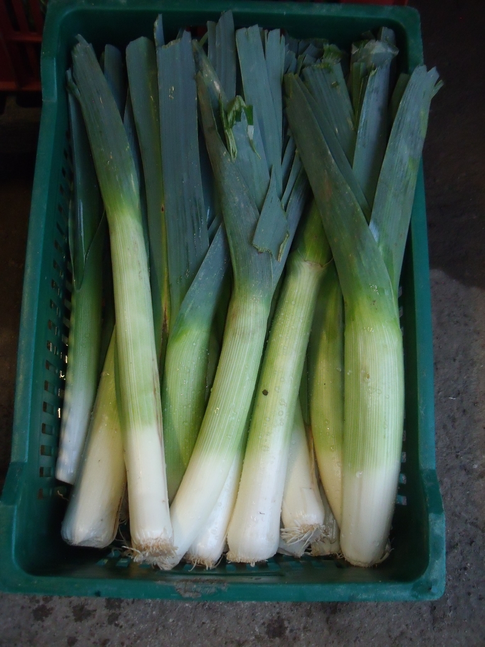 Poireaux Bottes 1 U Catherine Rousseau Fruits Et Legumes Locavor Fr