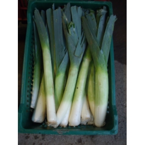 Poireaux kg