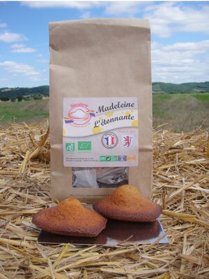 Madeleine ' l'etonnante ' citron
