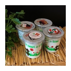 Yaourt brebis nature