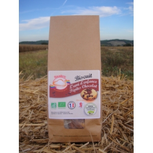 Biscuit' l'ami d'enfance' pépites chocolat