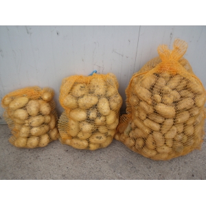 Pomme de terre  'charlotte'