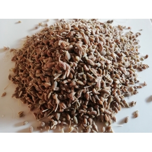 Anis vert grains