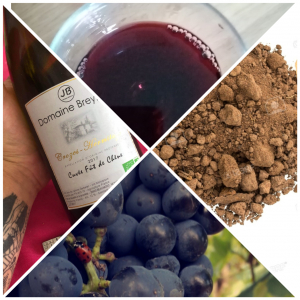 Crozes hermitage rouge les chênes